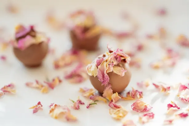 Pelican Kasino Android/iOS Aplikácia